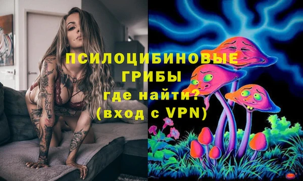 Альфа ПВП Бутурлиновка