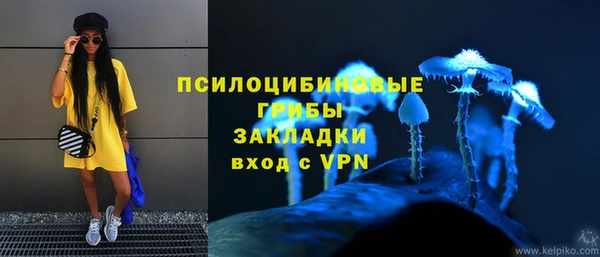 Альфа ПВП Бутурлиновка