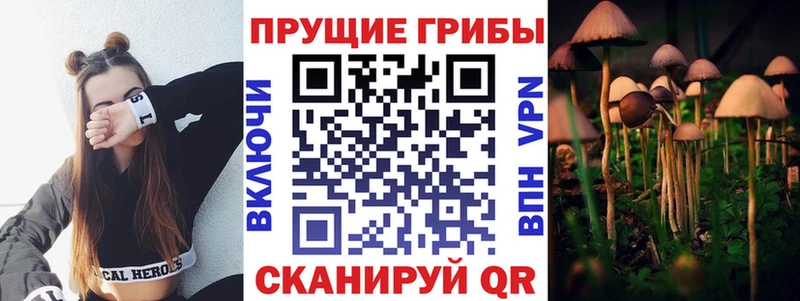 Галлюциногенные грибы мицелий Игарка